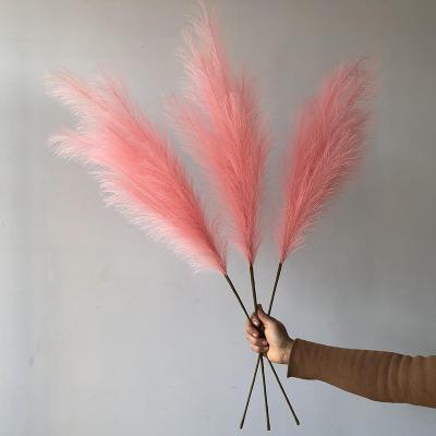 China Wholesale High Quantity Beautiful Artificial Pampas Fake Colorful For Home Decor Wedding 5 Forks for sale