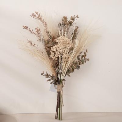 China Nature Boho Hot Sale Palm Pampas Bouquets Reed Dried Pampas Dry Flower Custom Bouquet For Decor Layout Dried Flowers Pampas for sale