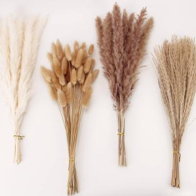 China Nature Boho Wedding Decor 45cm 100pcs Mixed Dry Fluffy Pampass Grass Bunny Tail Bouquet Set Small Dried Pampas Grass for sale