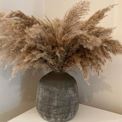 China Nature hot sale natural dry artificial silk the big pampas grass the small natural long flower pampas grass dry fluffy bouquet for sale