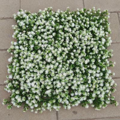 China UV Protected Artificial Grass Green Wall Backdrop Nature Garden Hedge Panel Home Outdoor Plastic Faux Plant Panel Grass Fence for sale