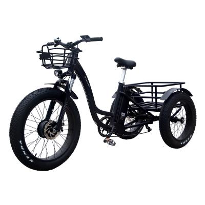 China Aluminum Alloy 36V/48V 350W/500W/750W Fat Tire 3 Wheel Electric Bicycle (V-FT2) for sale