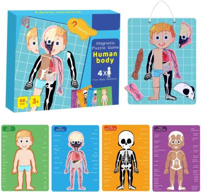 China 48pcs Educational Magnetic Human Body Jigsaw Puzzle Toys For 3 Year Old Toddler for sale