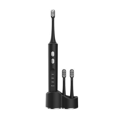 China Battery Operated Radio Charging Waterproof Magnetic Suspension Bristle Electric Toothbrush Soft Sonic Electric Toothbrush for sale