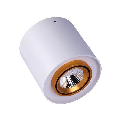 China High Efficiency New Design Cylinder Led Surface Mounted Dimmable Led Downlight Anti-glare Household Down Light for sale