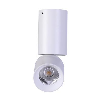 China Adjustable 360 ​​Degree Stretch Ceiling Light Outdoor Mounted Cob Led Spotlight Housing Light Spot Focos Led Spot Light for sale