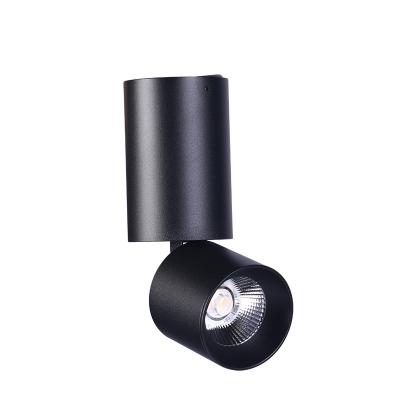 China 360 Degree High Performance Mini Track Spot Light 7w Adjustable COB Ceiling Track Light for sale