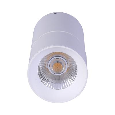 China High Quality 360 Degree Adjustable Project Led Downlight To Surface Adjustable 10w COB Mounted Moving Head Spotlight for sale