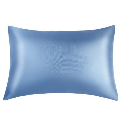 China Sustainable High Quality Best Selling Style Fashionable Luxury Types Of Silk Washable Pillow Cases for sale