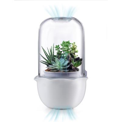 China New Product Creative Smart Cactus Flower Pot Garden Set Succulent Smart Flower Pot 2023 Suitable For Succulents Living In Nature for sale