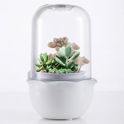 China 2024 Mini Pot Instruments 2023 New Product Novelty Product Idea Innovative Creative Electronic Succulent Smart Creative Gifts Idea 2023 for sale