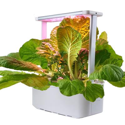 China Microgreen Indoor Vertical Hydroponics Indoor Mobile Hydroponics Grow System 2024 Light Hot-selling Hydroponic Growing Systems ebb and flow for sale