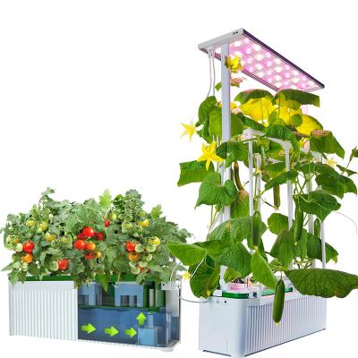 China Large Indoor Vertical Hydroponics System Garden Hydroponics System Farm Container Tomato Vertical Hydroponics System for sale