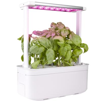 China Self Watering Plant Self Watering Plant Self Watering Indoor Gardening Self Watering System Self Watering Planter Herb Hydroponic Indoor Smart Vertical Pot for sale