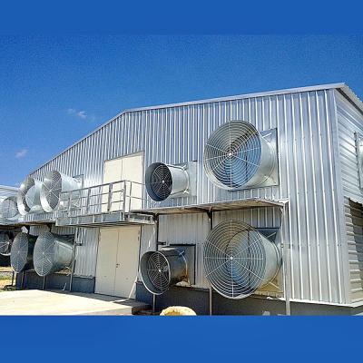 China Steel Cage Layer House / Broiler House Prefab Poultry House Steel Structure Chicken House Designs for sale