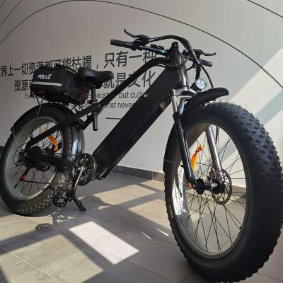 China Hot unisex e-bike 17.5Ah 48V 750W electric bicycle china manufacturer customized high quality electric mountain bike for sale