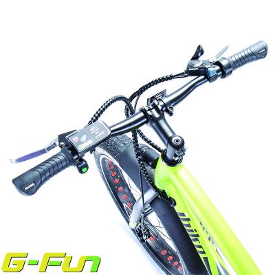 China Unisex electric bike with high-end specification are only focused on by G-FUN for sale