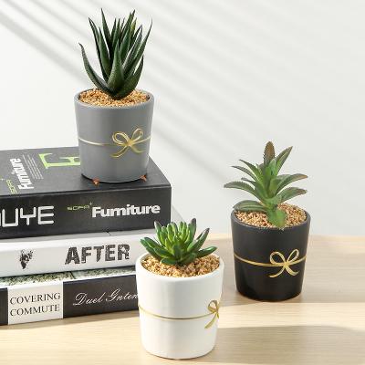 China Indoor Trash Can Rui Artificial Succulent Plants Decoration Gift For Home Decoration Office Room Decor Gifts for sale