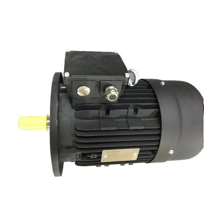 China Rexroth Motor MOT-FC-EV2- BV-112M-4-5CB-0004-A Black Long Life Energy Efficient Low Noise Operation Compatibility Reliability And Durability for sale