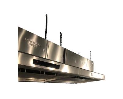 China Hotel POLYGEE ESP Commercial Restaurant Kitchen Exhaust Hood For Heavy Smoke for sale