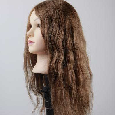 China Cosmetology Mannequin Heads 100 Hair Training Head Hair Salon Professional Mannequin Hairdressing Master Head for sale