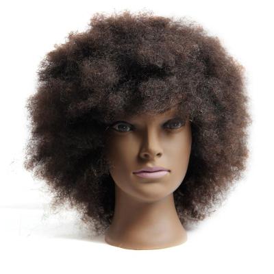 China 2019 Hot Selling Afro Wave Professional Training Mannequin Head With Hair 100% Cheap for sale