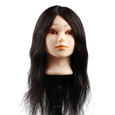 China Cosmetology Manikin Heads Factory Price 100 Hair Training Head Doll Hair Salon Equipment Mannequin Head For Practice for sale