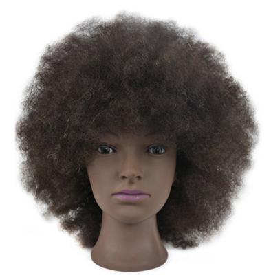 China Afro Master Mannequin Factory Price Hair Salon School Practice Hair Training Head Head Doll for sale