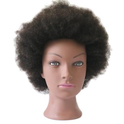 China Real Hairdressing School Hair Salon Beauty 100% Afro Hair Mannequin Doll Training Mannequin Head for sale