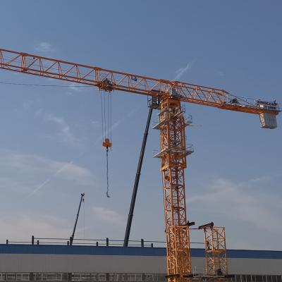 Chine 10 tonnes de grue à tour plate 70 mètres de hauteur 380V/50Hz à vendre