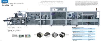 Chine ligne de machine de conditionnement, machine à emballer de boursouflure-carton-lien, machineryDHL600 pharmaceutique à vendre