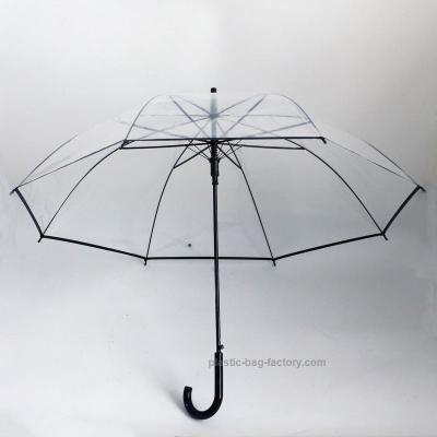 Cina Clear Arched Apolo Rain Umbrellas Transparent Arched Apolo Umbrellas for Girls and Ladies with Long Handle in vendita