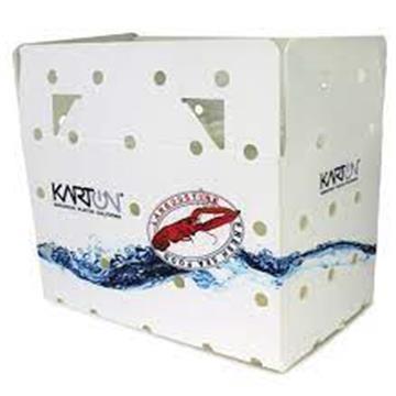 China Lightweight Eco-friendly Coreflute, Waterproof, Non-toxic, Durable, Eco-friendly Recyclable PP Corrugated Sheet Shrimp Box for sale