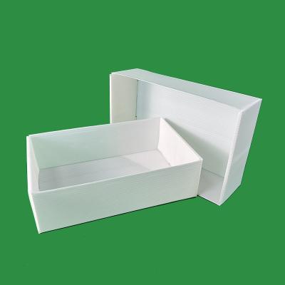 China Eco-friendly Manufacture Manufacturer Supplier of Foldable Coreflute PP Corrugated Panels Shrimp Box for sale