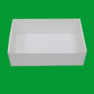 China Eco - Friendly Lightweight Non - Toxic No Pollution PP Corrugated Sheet Shrimp Box for sale