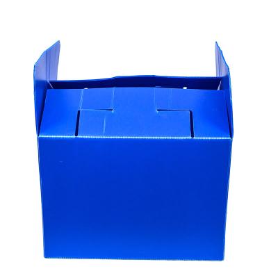 China PP Customized Color Green PP Corrugated Plastic Fruit And Vegetable Box for sale