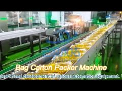 high precision bag carton packer machine robotic case packer with 40-150ppm speed