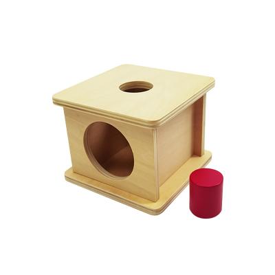 China 2022 Children's Education Montessori Toys For Children Kids Imbucare Educational Box With Big Cylinder Wooden Toys for sale