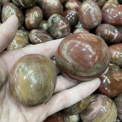 China Wholesale Natural Europe Palm Stones Crystal Petrified Wood Stone Healing for Decoration for sale