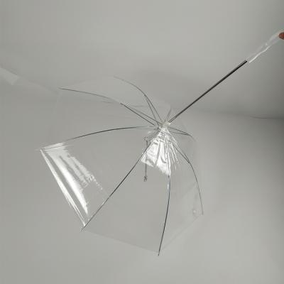 China New Transitional PVC EVA See Unique Special Funny Transparent Dog Umbrella for sale