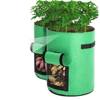 China Plant Fiber Vegetable Planting Bags With Side Window for sale