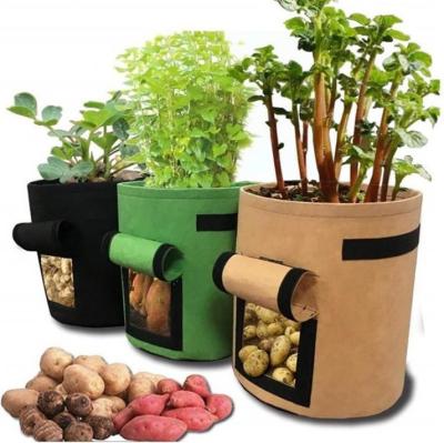 China Plant Fiber Garden Growing Bags for Flowering 10 Gallon Vegetable Seeding Fabric Felt Pot for Growing Bags for sale