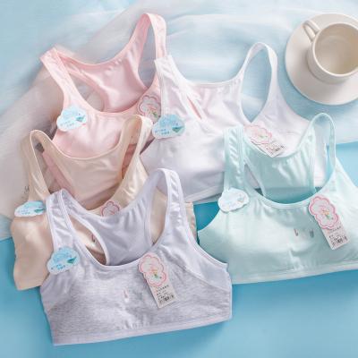 China 2021 new Moisture-absorbing and breathable breathable dry comfortable without affecting the development children's bra children's underwear girl for sale