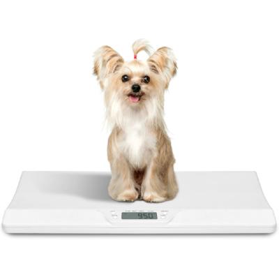 China ABS Animal Capacity 20kg Digital Pet Scale for sale