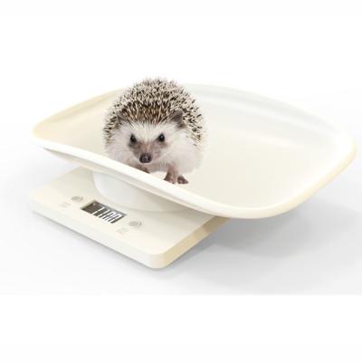 China Cost Effective Favorable Animal Scale Pet Scale High Price 295*206*58mm for sale