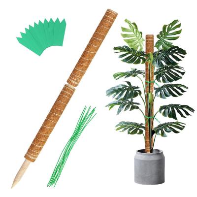 China PVC coir plants monstera wood labels twist ties rope totem pole support extension bundle plant poles coir foam climbing stick for sale