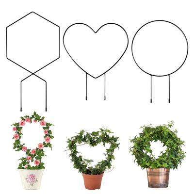 China Indoor Black Metal Amazon Climbing Plants Rust Free Vine Vine Metal Support Wire Modern Garden Stake Supports Iron Garden Trellis for sale