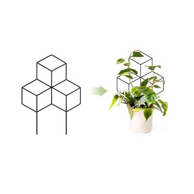 China Black Metal Plant Trellis DIY Support Indoor Outdoor Climbing Potted Plants Flowers Vegetables Cucumbers Garden Metal Trellis for sale