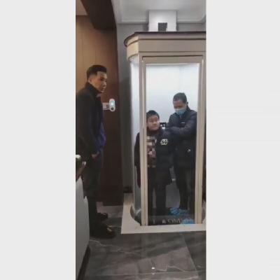 China Elevador de cápsulas pequeñas de 400 kg de capacidad para la protección contra la sobrecarga en el ascensor doméstico en venta