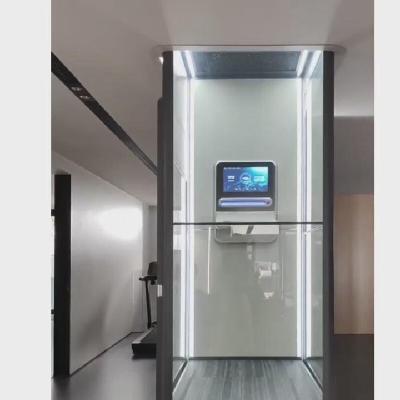 China 400 Kg Automatic Screw Driven Elevator with Safety Features for Indoor 2 Stops Glass Square Cabin for sale